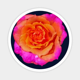 Neon Bright Rose Magnet